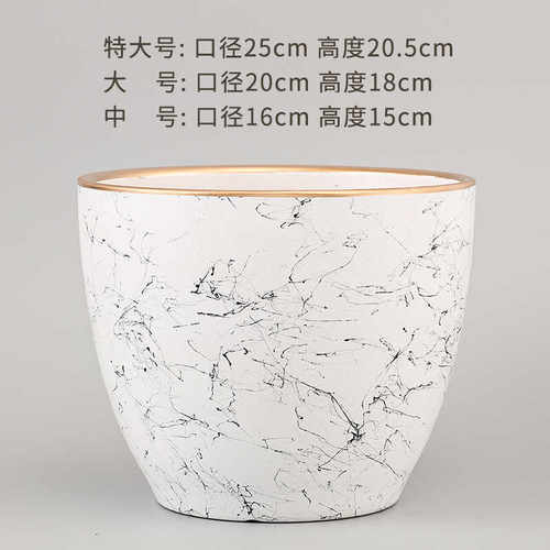 君子兰多肉蝴蝶特大号白色加厚