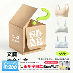 【直播间专享16.9元盲盒】猫人小胸少女文胸特价秒杀！