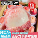 顺丰空运 白凤桃子 正宗四川龙泉驿水蜜桃新鲜水果当季 整箱礼盒装