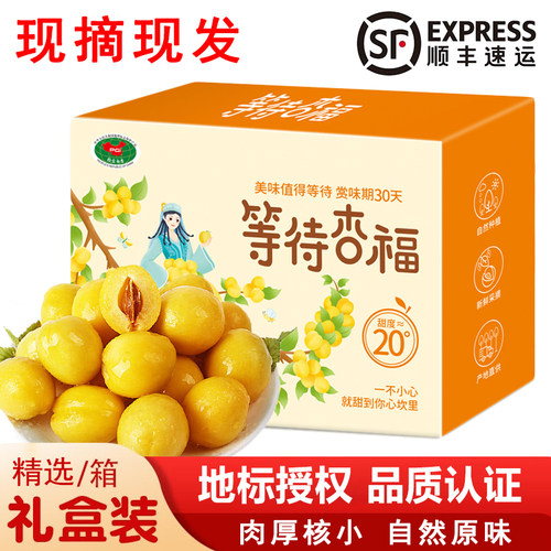 新疆头茬小白杏顺丰空运包邮