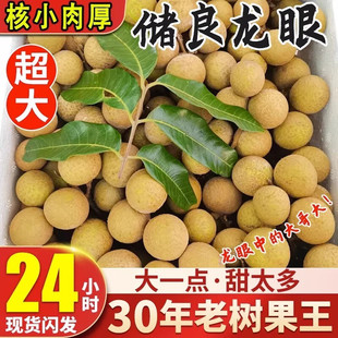 广东高州新鲜桂圆石峡龙眼水果 当季储良龙眼茂名特产 顺丰冷链