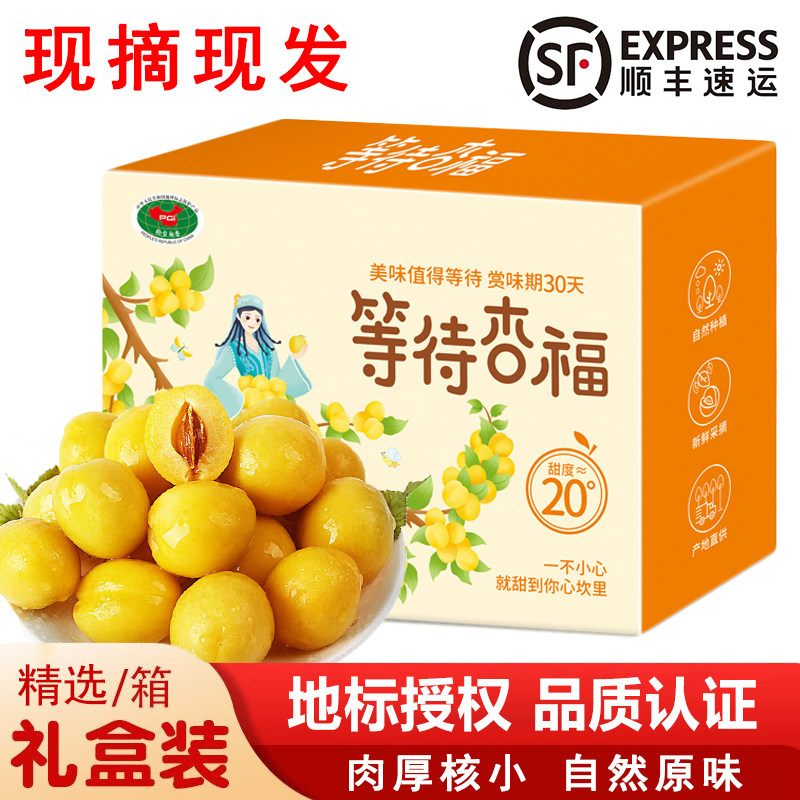新疆头茬小白杏顺丰空运包邮