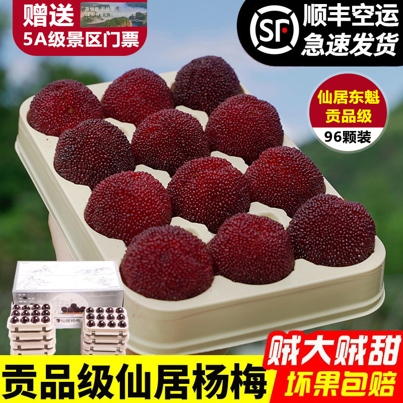 正宗仙居杨梅顺丰空运包邮