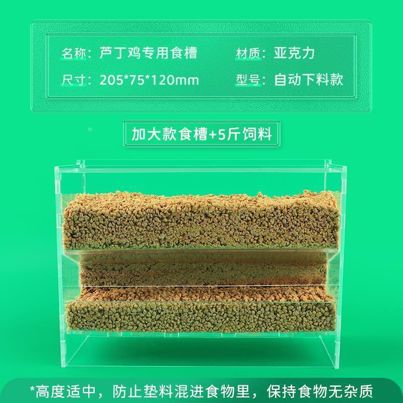 .芦丁鸡自动喂食器大容量食盒小鸡崽饮水器幼鸡喂食槽自动喂饲料