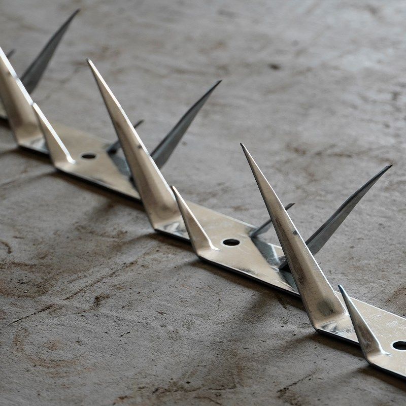 不锈钢防爬刺钉热镀锌围墙防攀爬阳台防盗刺学校小区围栏防爬刺钉,个性定制/设计服务/DIY,明信片定制,淘宝优惠券,粉丝福利购,淘宝优惠卷