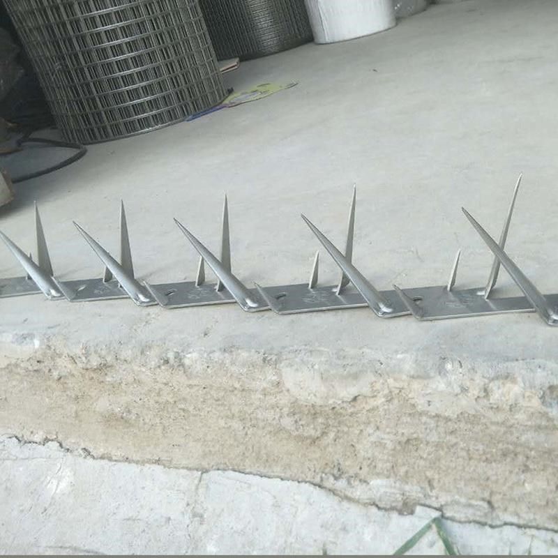 不锈钢防爬钢刺围栏刺防爬刺钉热镀锌围墙别墅防盗刺铁刺墙头,个性定制/设计服务/DIY,明信片定制,淘宝优惠券,粉丝福利购,淘宝优惠卷