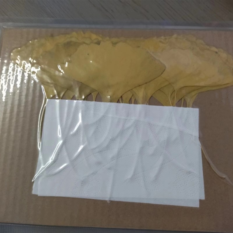 梧桐树叶标本激光雕刻叶雕材料真树叶烘干树叶手工叶雕材料梧桐叶