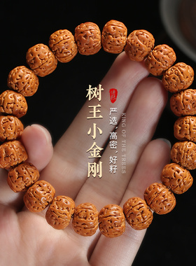 树王爆肉男士文玩佛珠单圈盘玩手串