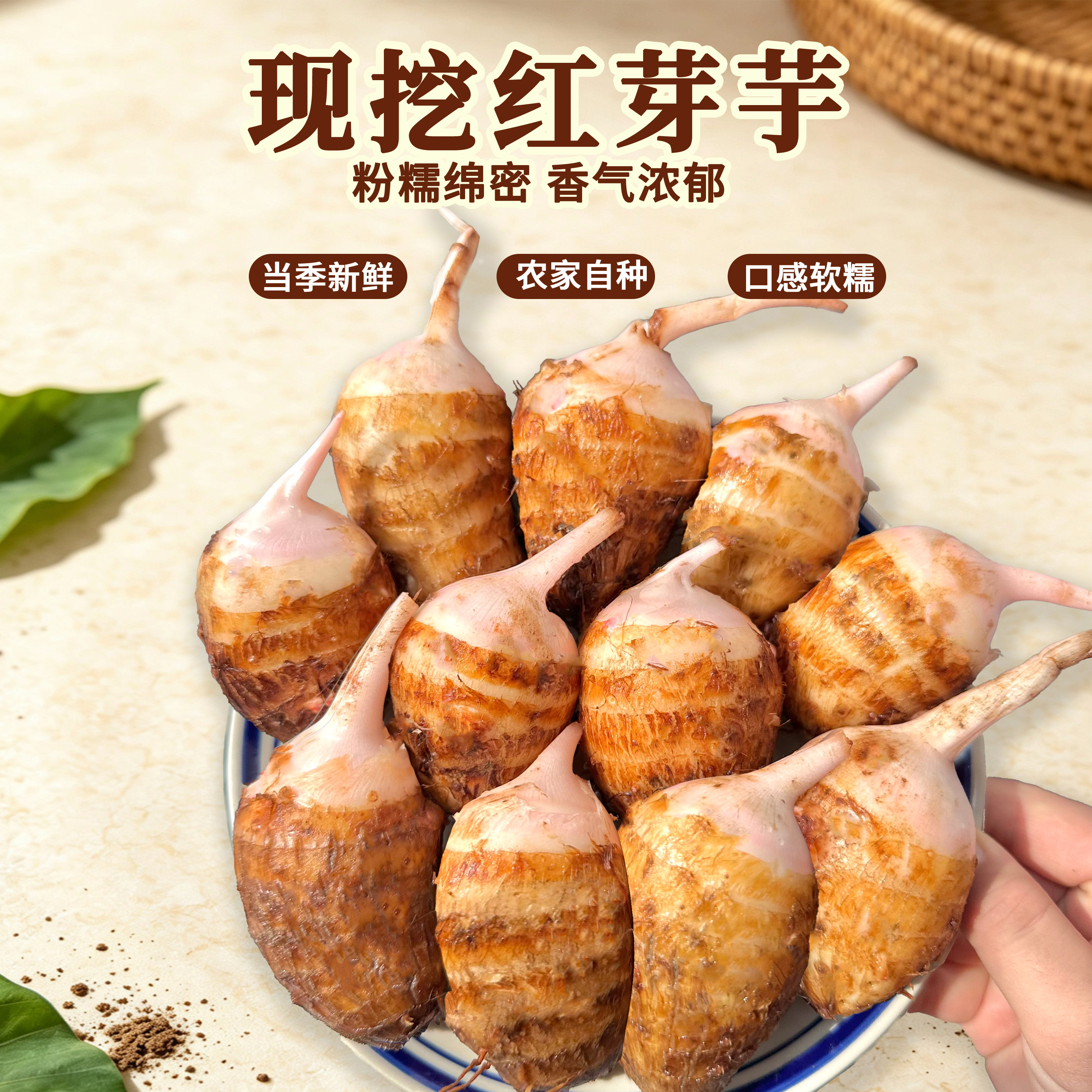 江西上饶新鲜现挖红芽芋头5斤装