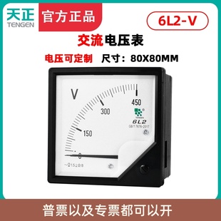 TENGEN天正电气 6L2-V电压表安装式仪表450V 500V交流指针表80*80