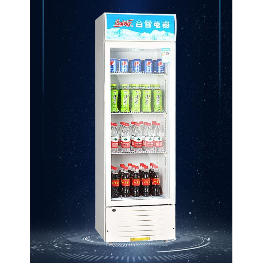 白雪冰饮柜式陈列柜展示柜立柜ubt料柜啤酒冷柜点菜柜