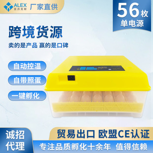 家用小鸡孵蛋器 56枚智能全自动孵化器 小型迷你鸡鸭鹌鹑孵化设备