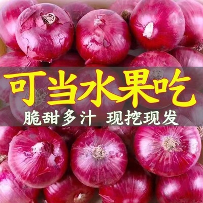 云南紫皮水果洋葱10新鲜