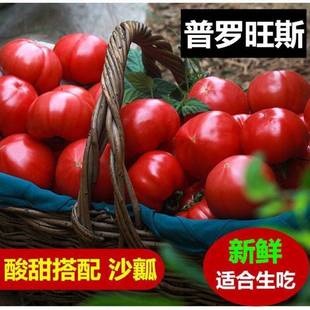 沙瓤西红柿新鲜带箱5斤番茄自然熟普罗旺斯生吃 蔬菜 小番茄当季