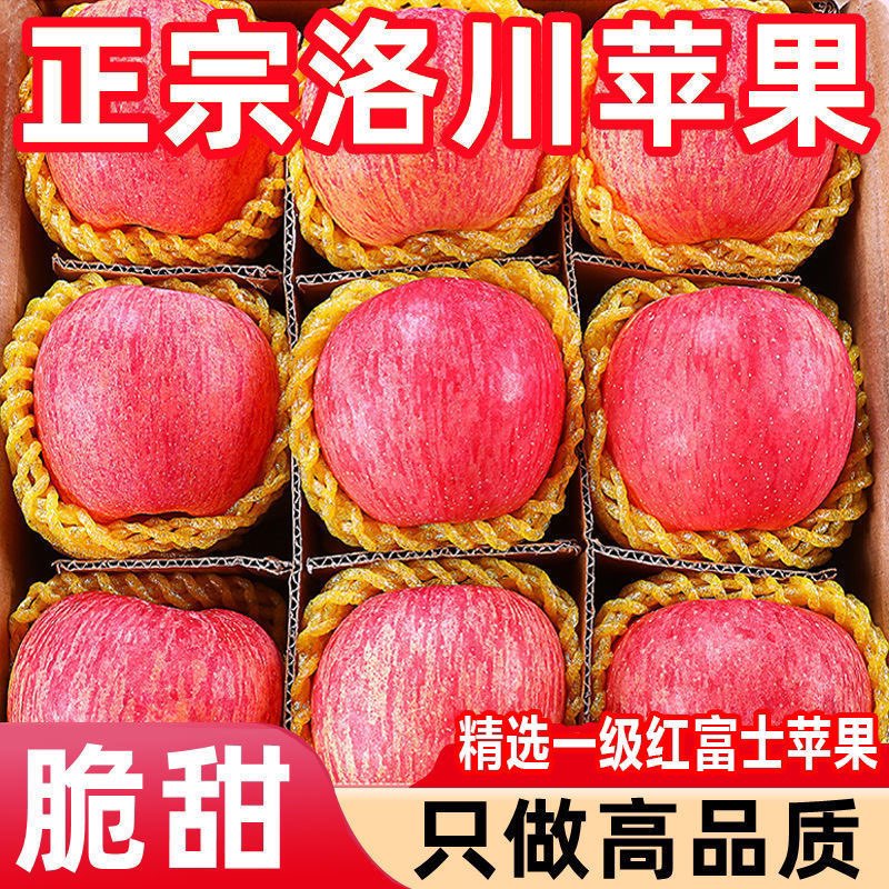 陕西洛川苹果新鲜水果