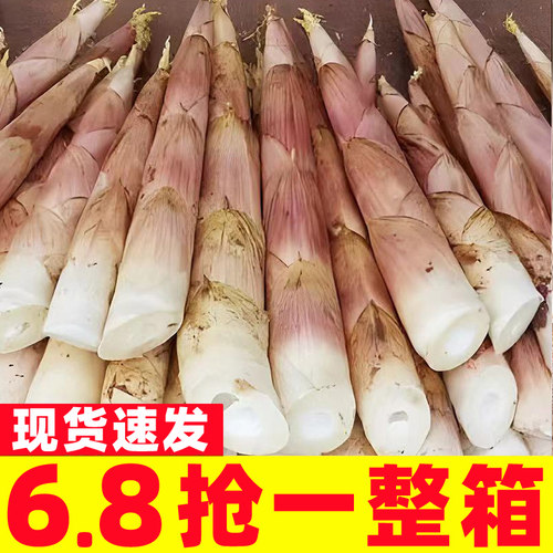 新鲜现挖临安天目山春笋