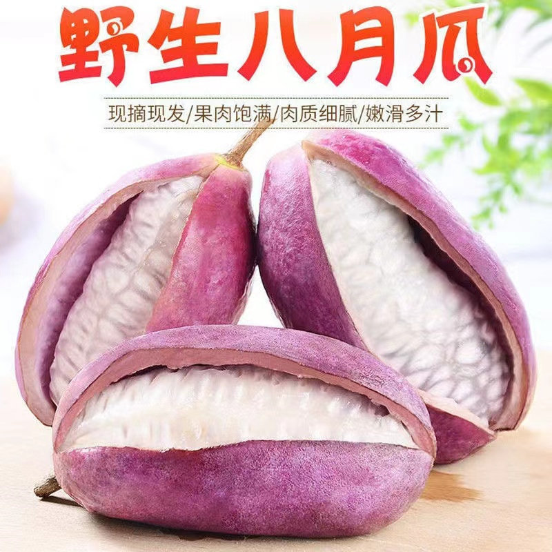 新鲜八月瓜水果八月炸野果当季