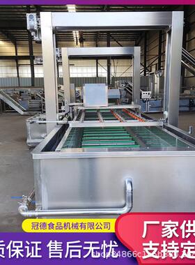 全自动气泡清机洗商用菠菜HCT韭洗菜蓝备莓去农残清设净菜加工流