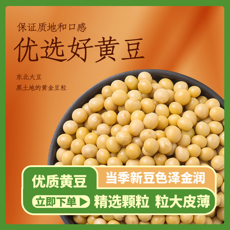 25年新豆东北黑龙江黄豆农家自产五谷杂粮豆浆豆芽非转基因黄豆新