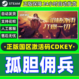 PC正版 孤胆佣兵 游戏 CDKey Son 国区激活码 steam Gun