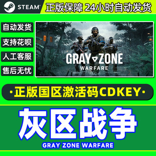 Zone Gray Warfare 国区激活码 PC游戏 steam游戏 CDKey 灰区战争