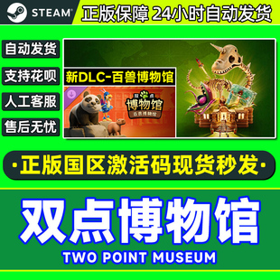 Point Two Museum 国区激活码 PC中文 Steam游戏 CDKEY 双点博物馆