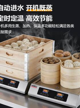燚仕德新型电蒸包炉商用