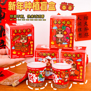 可爱新年植盲盒盆栽幼儿园桌面绿植摆件小盆栽小学生马年小礼品