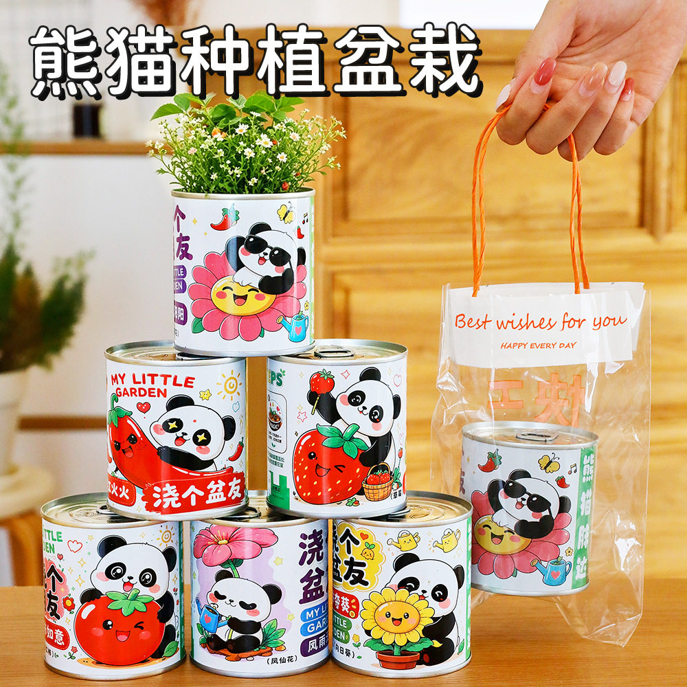 儿童可爱熊猫绿植小盆栽罐头幼儿