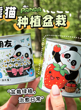 儿童可爱熊猫种植小盆栽小学生创