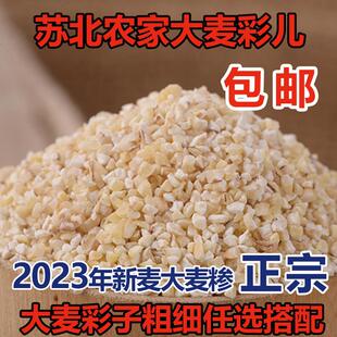23年苏北特产大麦采子 中粗盐城大麦糁彩子含麦麸麦渣煮粥5斤包邮