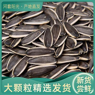 葵花籽新货大颗粒毛嗑生