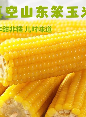 80年代老品种正宗山东老式笨玉米非甜非粘黄玉米真空代餐粗粮新鲜