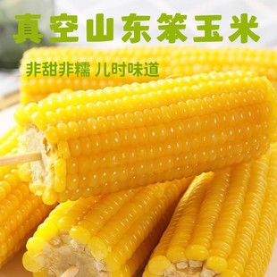 80年代老品种正宗山东老式笨玉米非甜非粘黄玉米真空代餐粗粮新鲜
