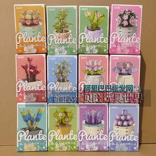 佳奇积木JK2710治愈多肉植物盆栽永生花益智拼装教师节儿童小礼物