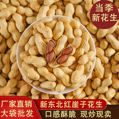 25年新货正宗东北红崖子红皮花生炒熟原味蒜香五香花生炒货