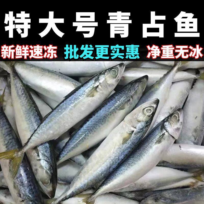 新鲜青鱼6斤新鲜速冻青鱼青占鱼鲐鱼鲐鲅鱼马鲛鱼鲭鱼青花鱼