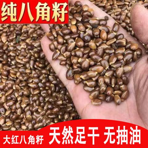 广西八角籽大茴香籽足干无灰尘非种子干净无杂八角打粉用料中药材