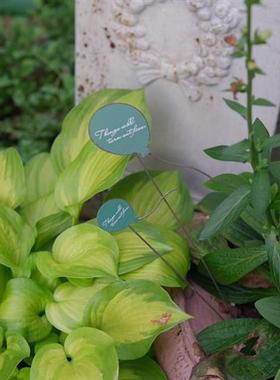 气球装饰花插庭院花盆装饰铁艺做旧尾巴英文字母可爱阳台装饰插牌