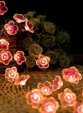 3m 30LED Cherry Lighting Strings Blossom Flower LED String F