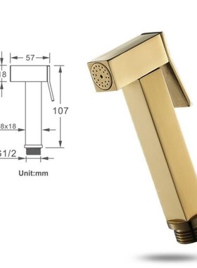 Hand Held Bidet Sprayer Douche Toilet Kit Shiny Gold Brass S