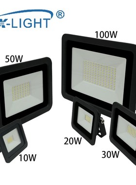 10W 20W 30W 50W 100W LED Flood Light 110V/220V Floodlight IP