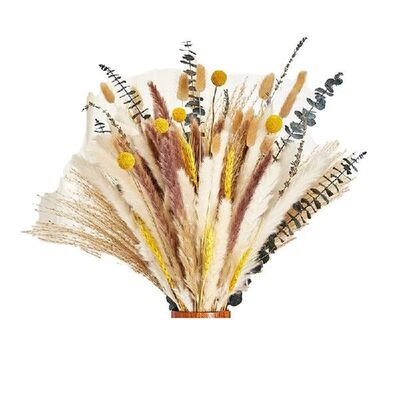 125Pcs Dried Plants Branches,Vase Filler With Fluffy Pampas