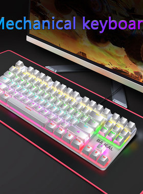 K200 Gaming Mechanical Keyboard 87 Keys Blue Switch USB