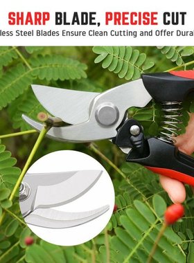 Pruning Shear Garden Scissors Horticulture Fruit Tree Garden