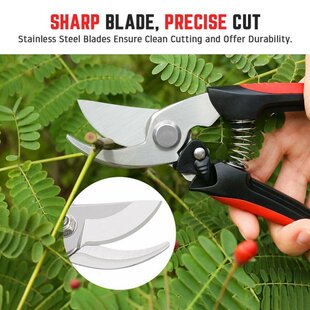 Pruning Shear Garden Scissors Horticulture Fruit Tree Garden