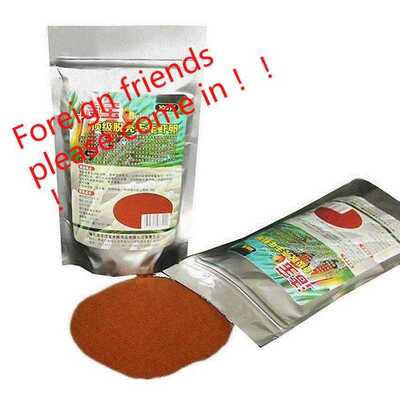 100g brine shrimp eggs artemia cycts ocean healthy nutrition