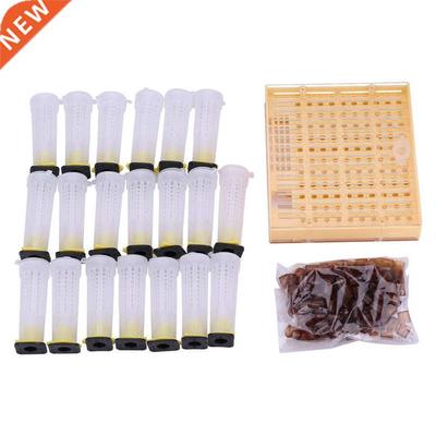 Bee Hive Queen Rearing Cup Kit Bee Cultivating Tool Plastic