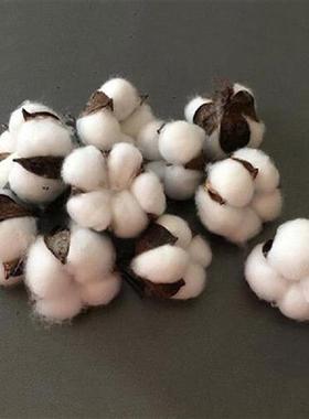 10PCS/Pack Artificial Flower Single Branch Simulation