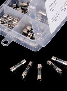 100pcs 0.2A/0.5A/1A/2A/3A/5A/6A/8A/10A/15A Quick  Blow G